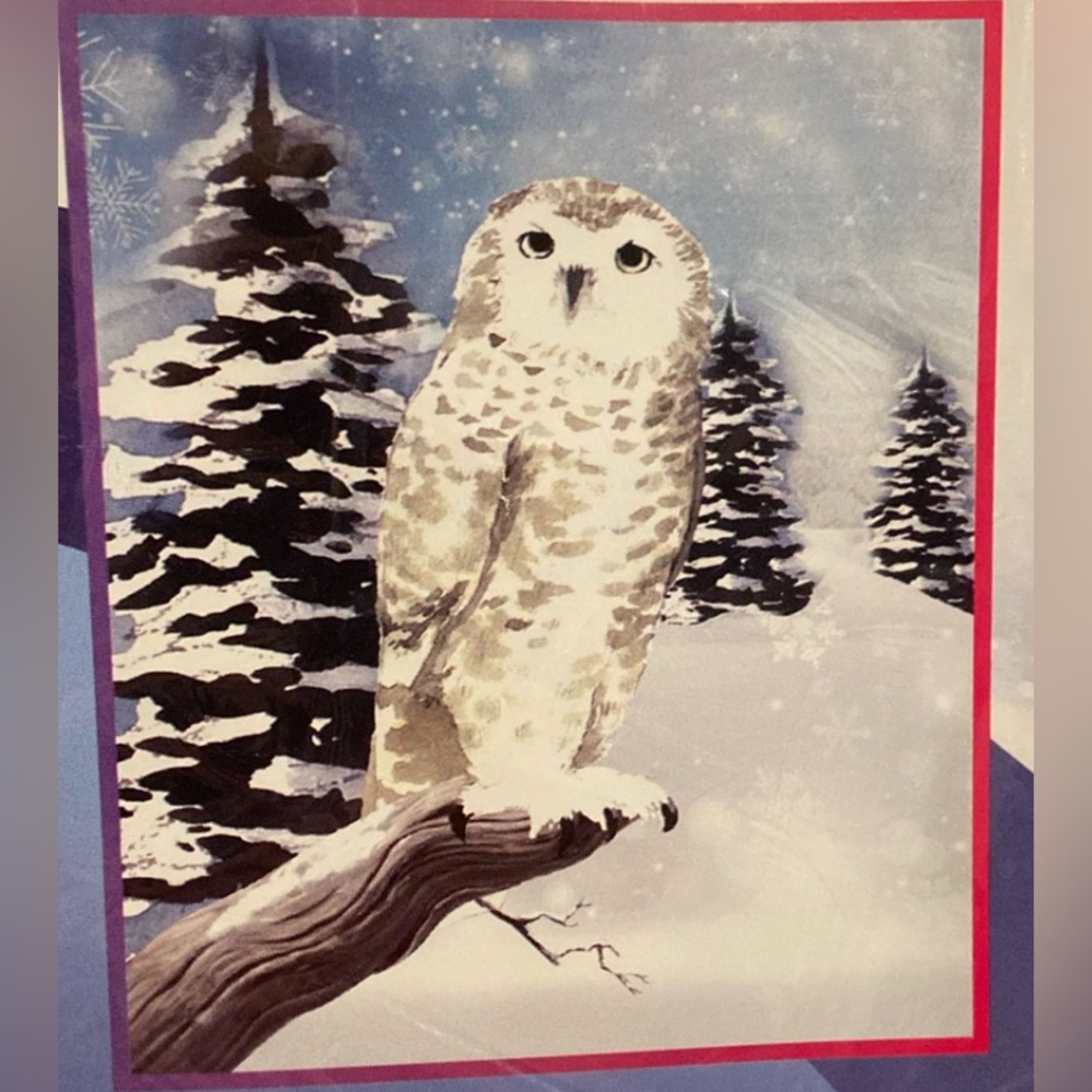 Snow Owl Throw Blanket 50” X 60” NEW Soft